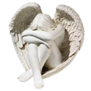 foxgloveprincess avatar