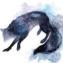 foxiemoron avatar