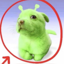 foxiiytzpet avatar