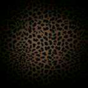 foxindabox808 avatar