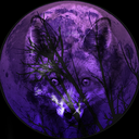 foxmedicine avatar