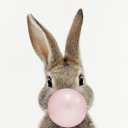 foxmulder2020 avatar