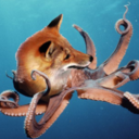 foxoctopus avatar