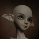 foxolly-blog avatar