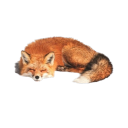 foxxnotesspam avatar