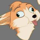 foxxolite avatar