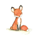 foxybpd-blog avatar