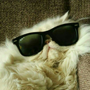 foxyfoxymulder avatar