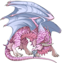 fr-smallercomfort avatar