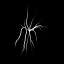 fractured-reflections avatar