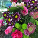 fractured-sanityy avatar