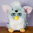 fracturedfurby avatar