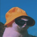 fracturedmomentum avatar