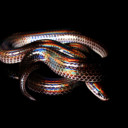 fracturedpieces avatar