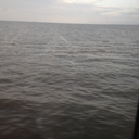 fractures-andfault-lines avatar