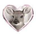 fragile-bambi avatar