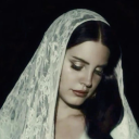 fragile-butterfly avatar