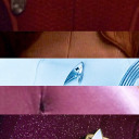 fragile-snail avatar