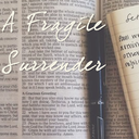 fragile-surrender avatar