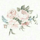 fragileforest avatar