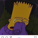 fragilely-broken avatar