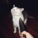 fragmentnumber3841 avatar