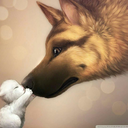 fragmentsofmymemory avatar