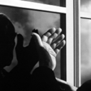 fraises-sauvages avatar