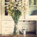 frambuazlivisne avatar