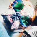 frame-after-frame avatar