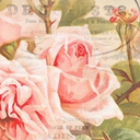 francaisetanglais avatar