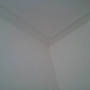 francescagardini avatar