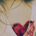 francescaluciano14 avatar