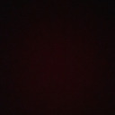 francisandferrets avatar