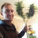 francisurbinoii avatar