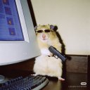 francoaguevara avatar