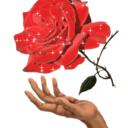 franfinefantasy-blog avatar