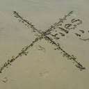 frangipanidownunder avatar