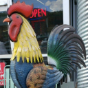 frank-and-beansnh10 avatar