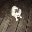 frank00059-blog avatar