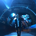 frankaenstein avatar