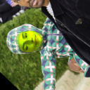 frankbambino avatar