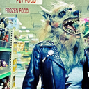 frankiebekkon avatar