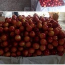 frankielostallo30 avatar