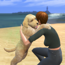 frankiesfinds avatar