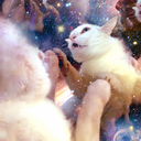 franklloydwhite avatar