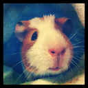 franklyfred-blog avatar