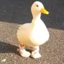 franklymydearidontgiveadam avatar