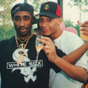 franksgambino avatar