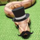 frankthesnek avatar